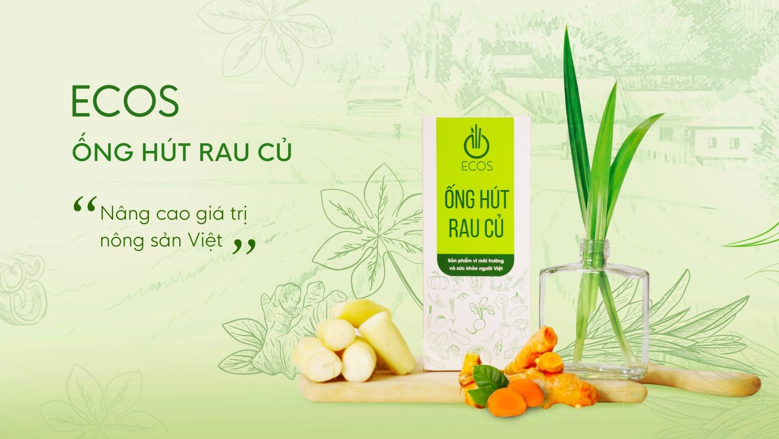 Sản phẩm ống hút rau củ ECOS