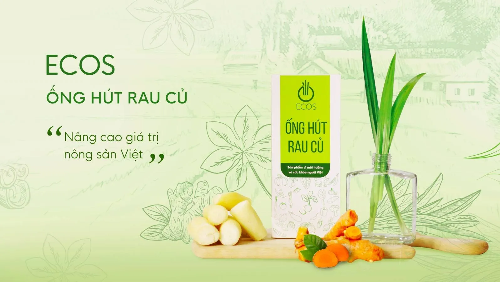 Sản phẩm ống hút rau củ ECOS
